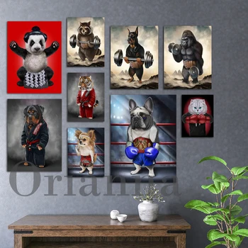 Sumo Panda, Gorilla Gantera Francez Bull Pisică Câine Boxer Chihuahua, Pug Câine Thai Box Doberman Exercițiu De Haltere, Imprimare Poster