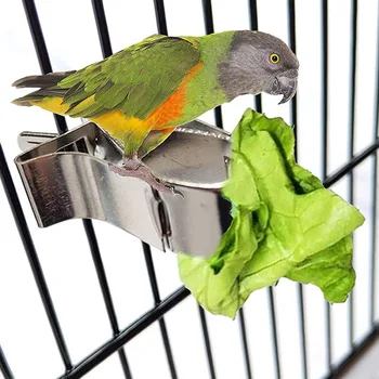 Păsări Alimente Titularul Papagal De Companie Hrănire Fructe Vegtable Clip Feeder Dispozitiv De Pin Clamp Durabile Bunuri De Uz Casnic Colivie Noua